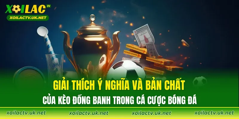 Giải thích ý nghĩa và bản chất của kèo đồng banh trong cá cược bóng đá