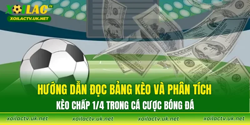 Hướng dẫn đọc bảng kèo và phân tích kèo chấp 1/4 trong cá cược bóng đá