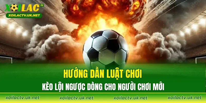 Hướng dẫn luật chơi kèo lội ngược dòng cho người chơi mới