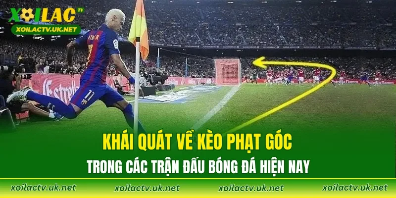 Khái quát về kèo phạt góc trong các trận đấu bóng đá hiện nay