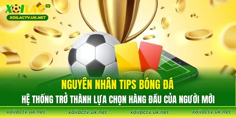 Nguyên nhân Tips bóng đá hệ thống trở thành lựa chọn hàng đầu của người mới