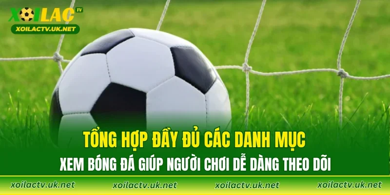 Tổng hợp đầy đủ các danh mục xem bóng đá, giúp người chơi dễ dàng theo dõi