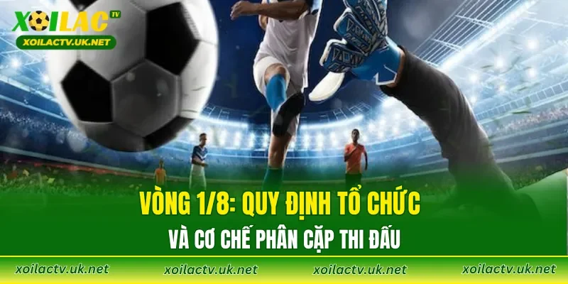 Vòng 1/8: quy định tổ chức và cơ chế phân cặp thi đấu